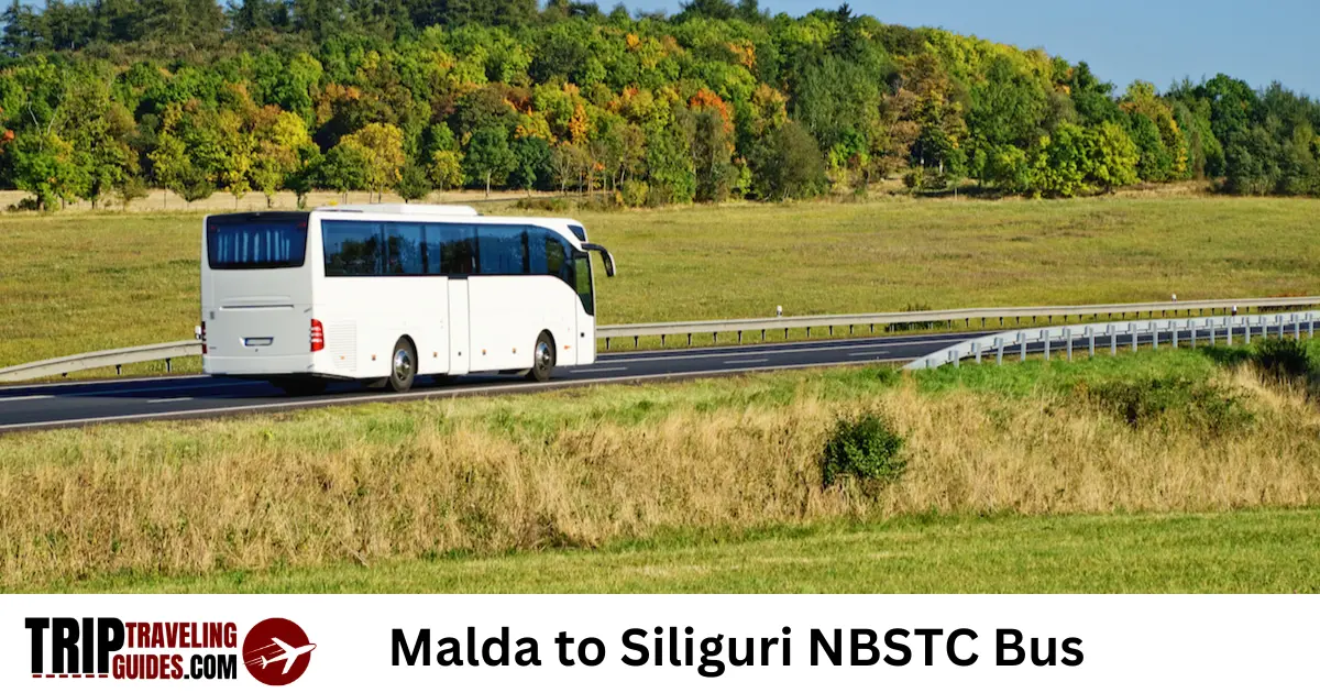 Malda to Siliguri NBSTC Bus