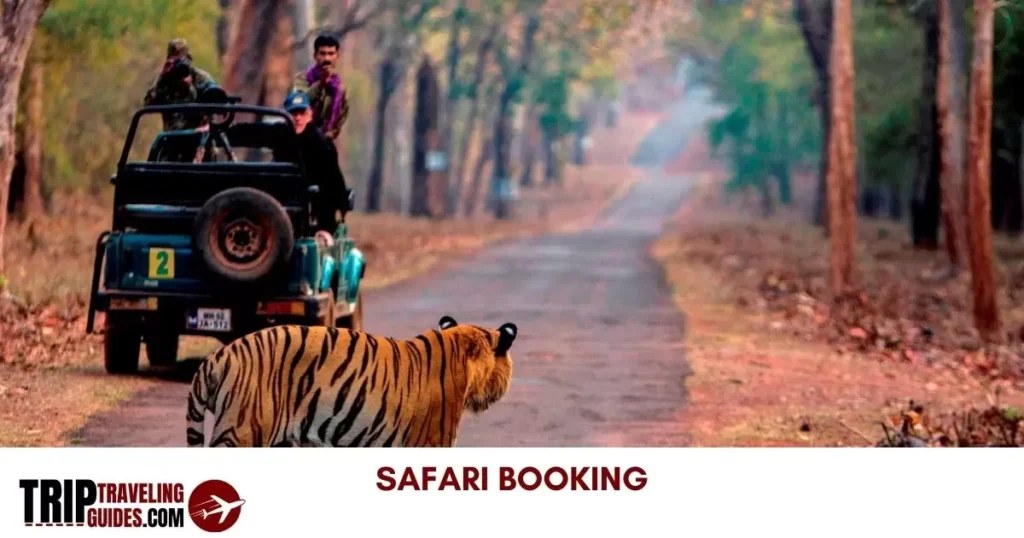 Safari Booking