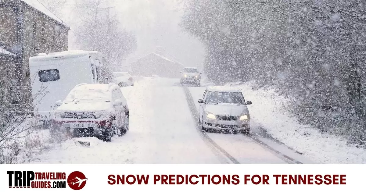 Snow Predictions For Tennessee 2023-2024