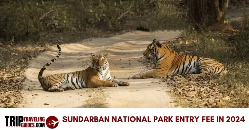 Sundarbans National Park Entry fee