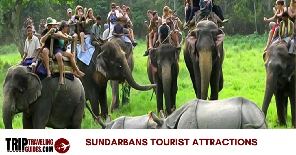 Sundarbans Tourist Attractions