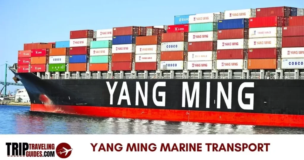 Yang Ming Marine Transport Corporation