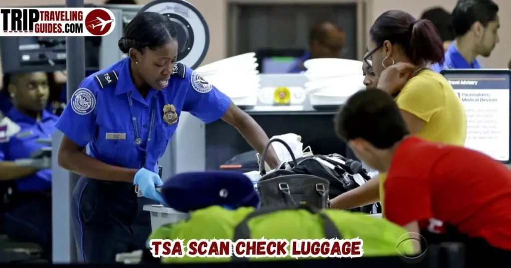 TSA Scan Check Luggage