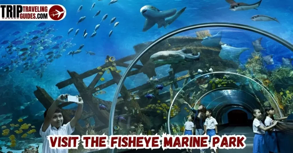 Visit the Fisheye marine park